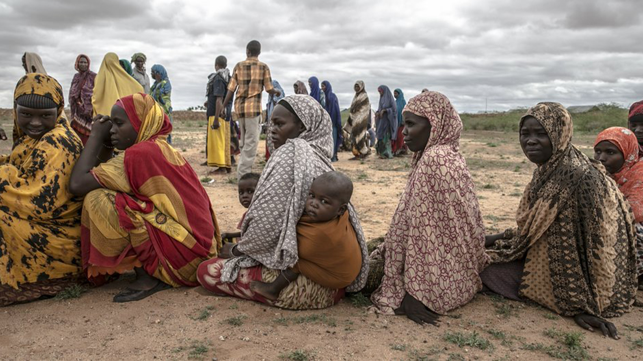 Somali Acil Yardım Fonu